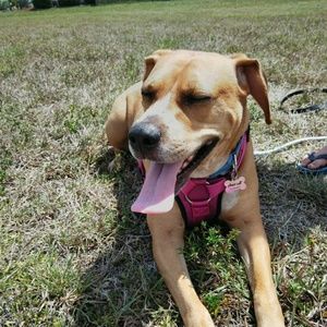 Meet your Posher, Jaime